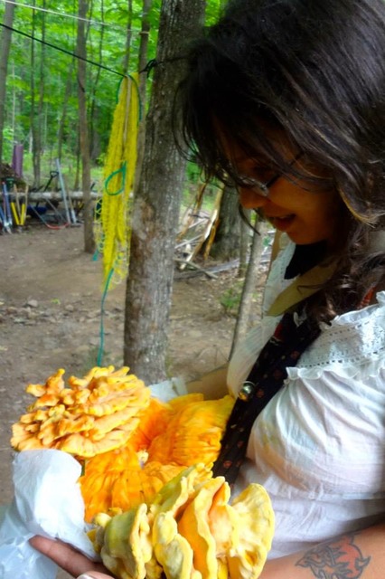 1009773_10200209983555508_1943627521_n