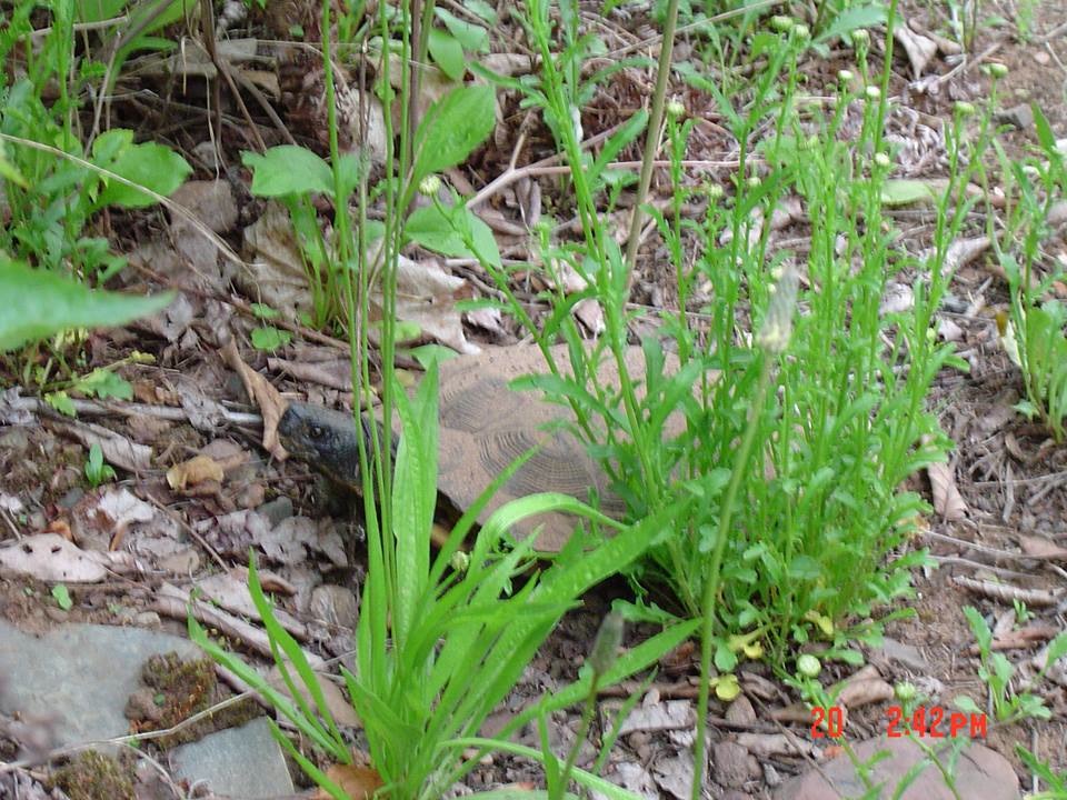 1013071_10201024007296656_1136905296_n