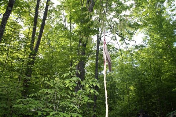 1017101_10200650195111885_2001116538_n