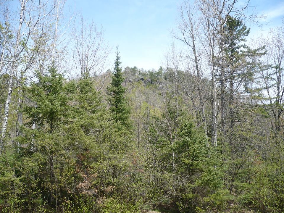 294269_4911192179216_2146031570_n