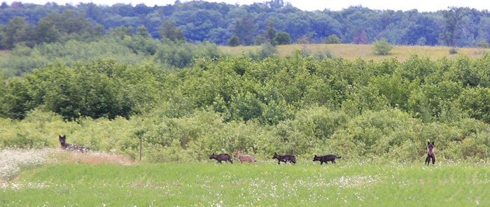 6763_10201611806361677_580898439_n