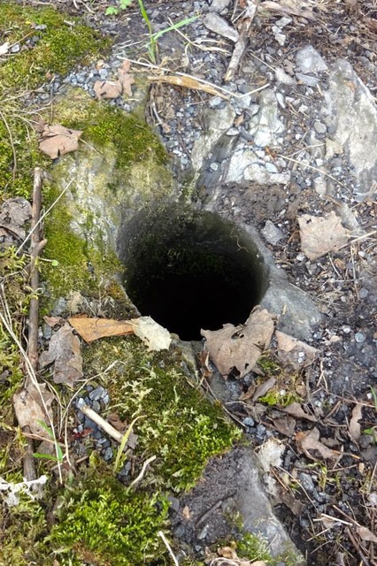 941616_4816439092090_868990757_n