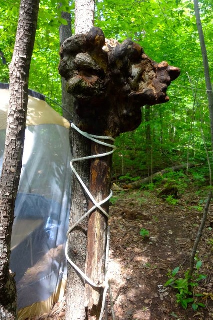 943649_10200209981155448_1090047455_n