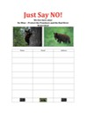 Bears NO