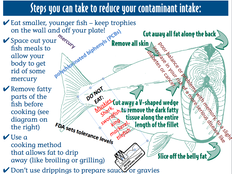 Screen Shot 2015-08-29 at 1.34.39 AM