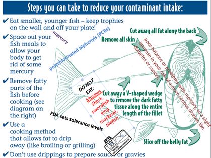 Screen Shot 2015-08-29 at 1.34.39 AM